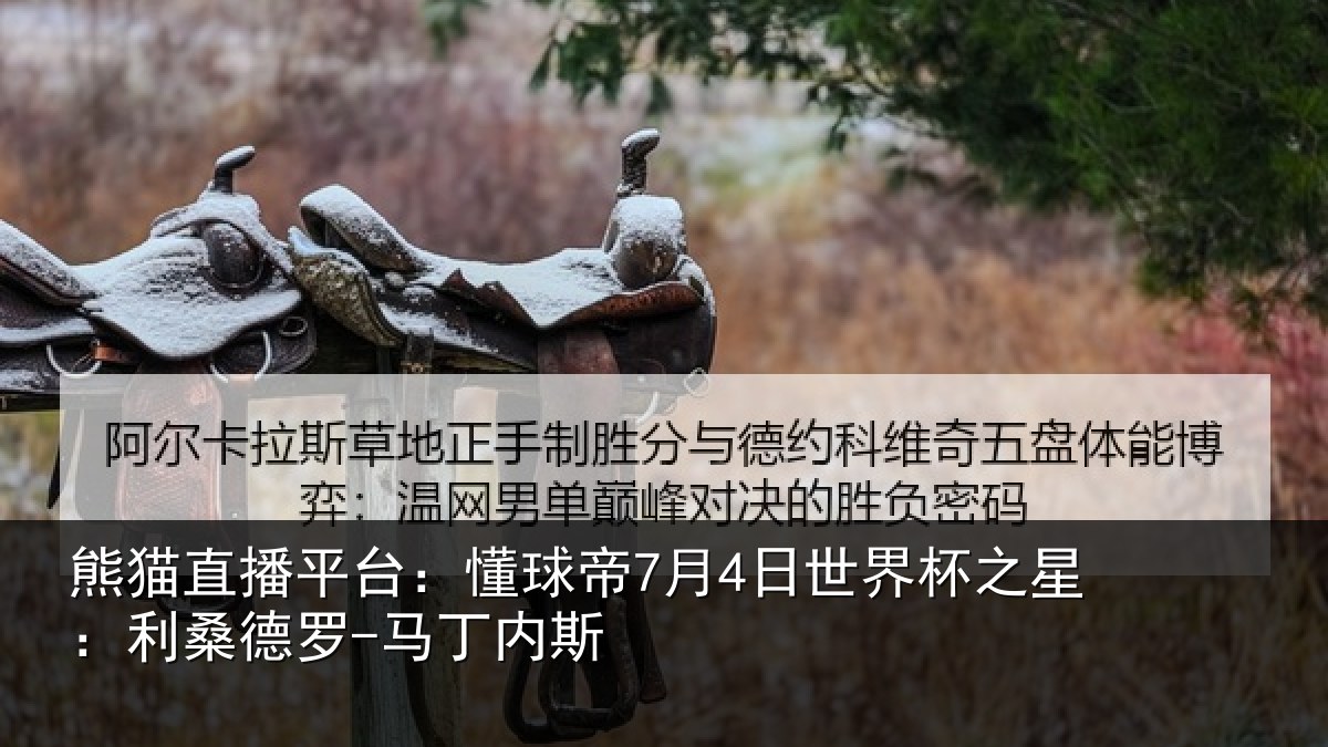 熊猫直播平台:懂球帝7月4日世界杯之星:利桑德罗-马丁内斯